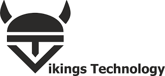Viking Netowrking